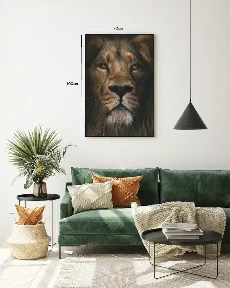 Lion Close Plakat