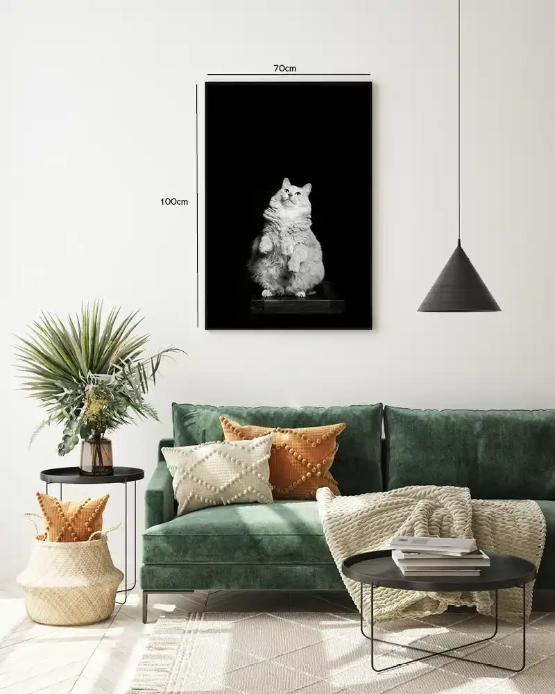 Fluffy Cat Plakat