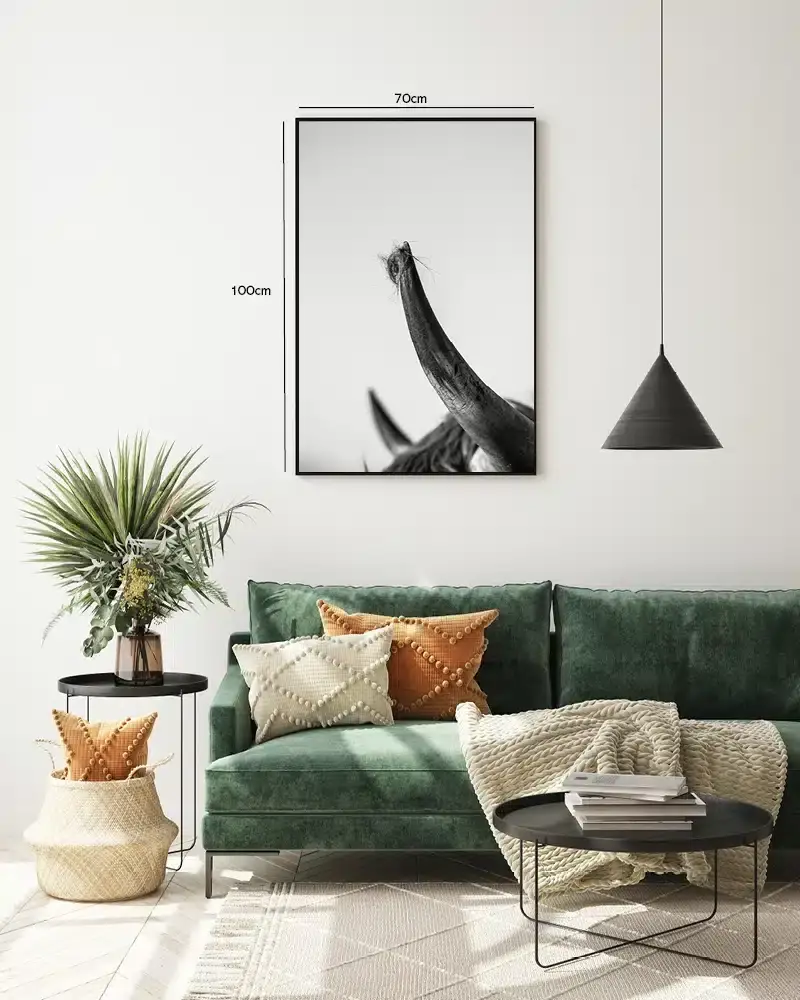 Highland Cow Horn Plakat