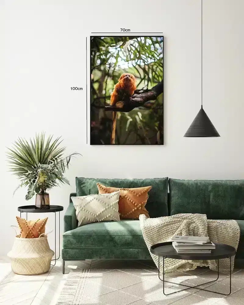 Golden Lion Plakat
