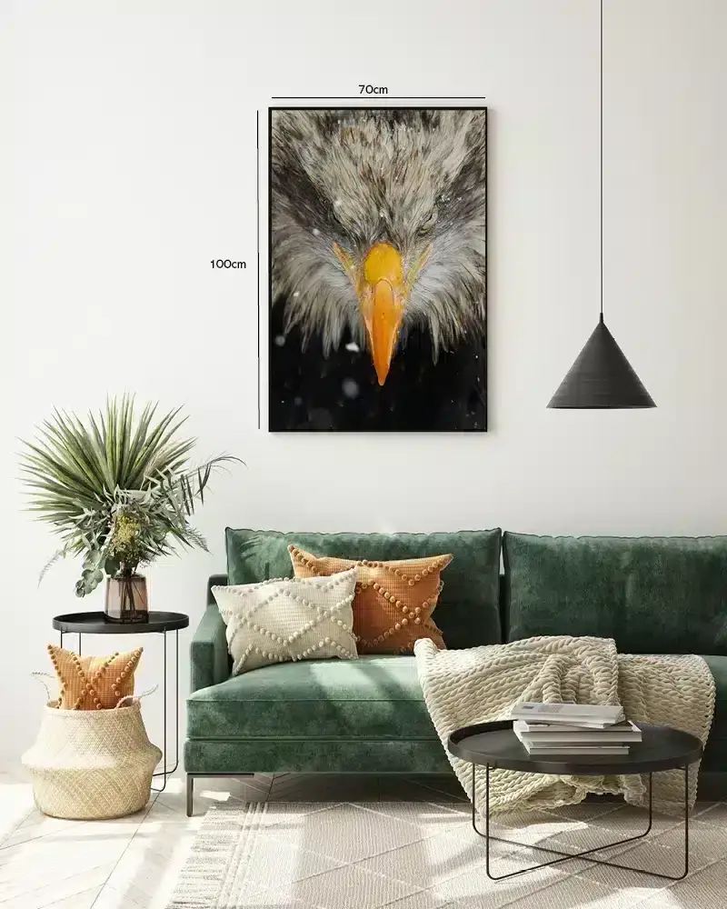 Bald Eagle Close Up Plakat