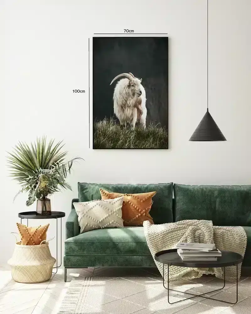 Mountain Goat Standing Plakat