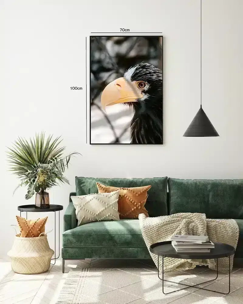 Steller Sea Plakat