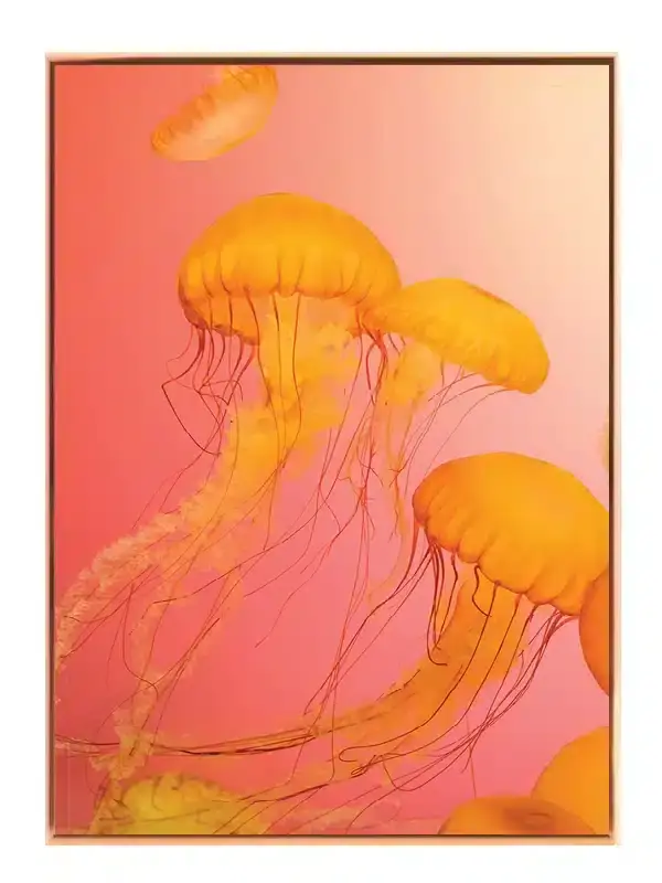 Orange Jellyfish Plakat