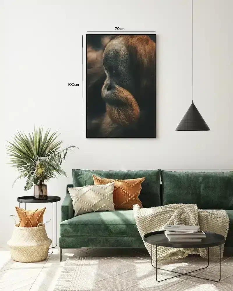 Orangutan Plakat