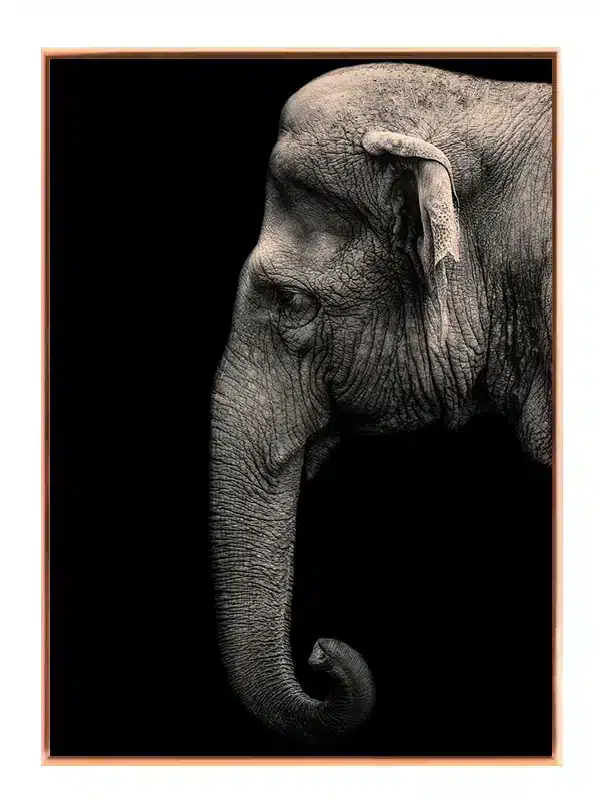 Elephant Profile Plakat
