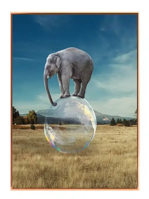 Elephant On Bubble Plakat