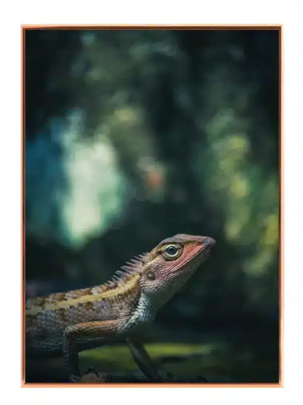 Kat Oriental Garden Lizard Plakat