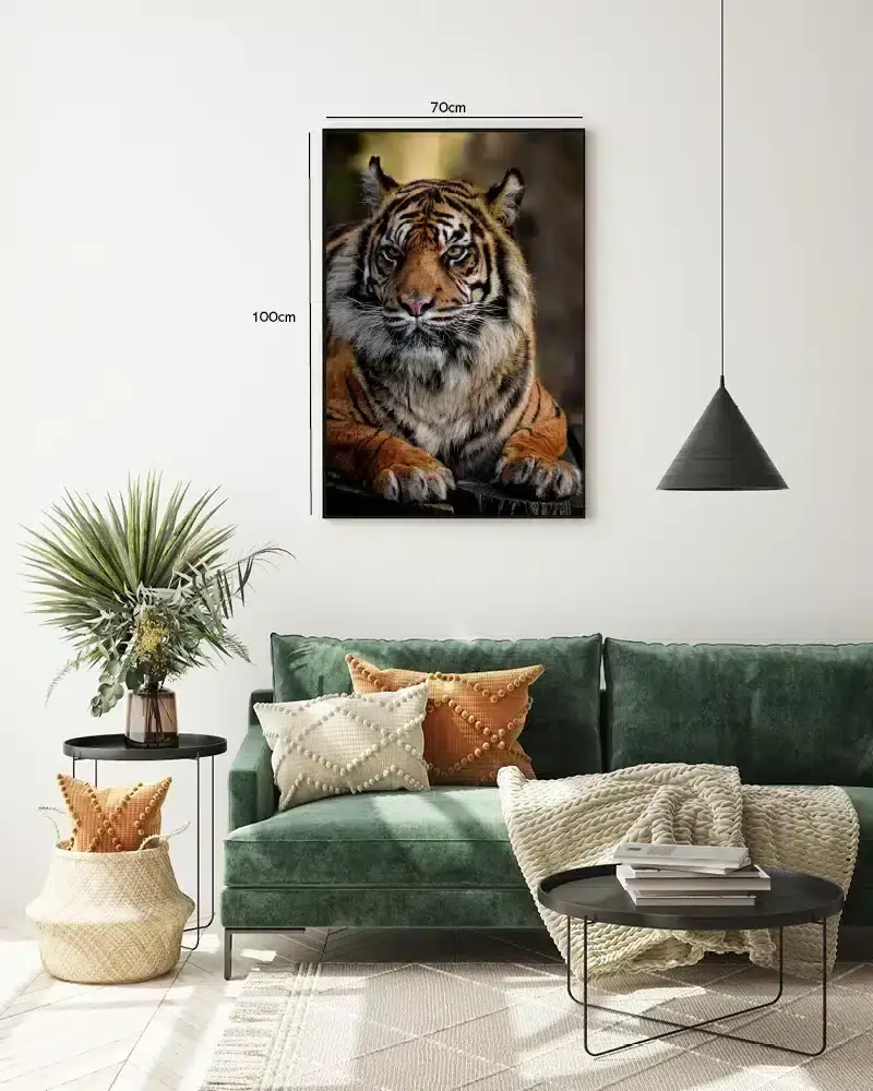 Bengal Tiger Plakat No3