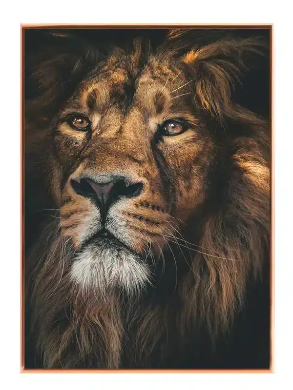 Majestic Lion Plakat