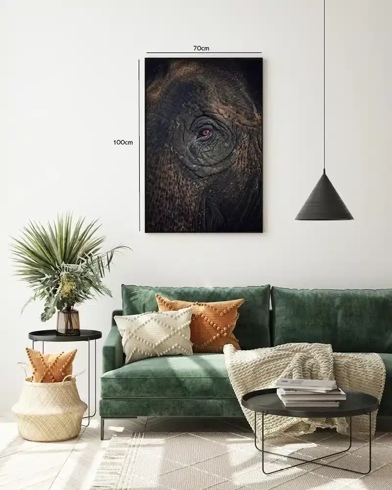 Elephant Eye I Plakat