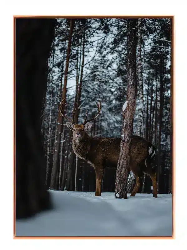 Red Deer Plakat