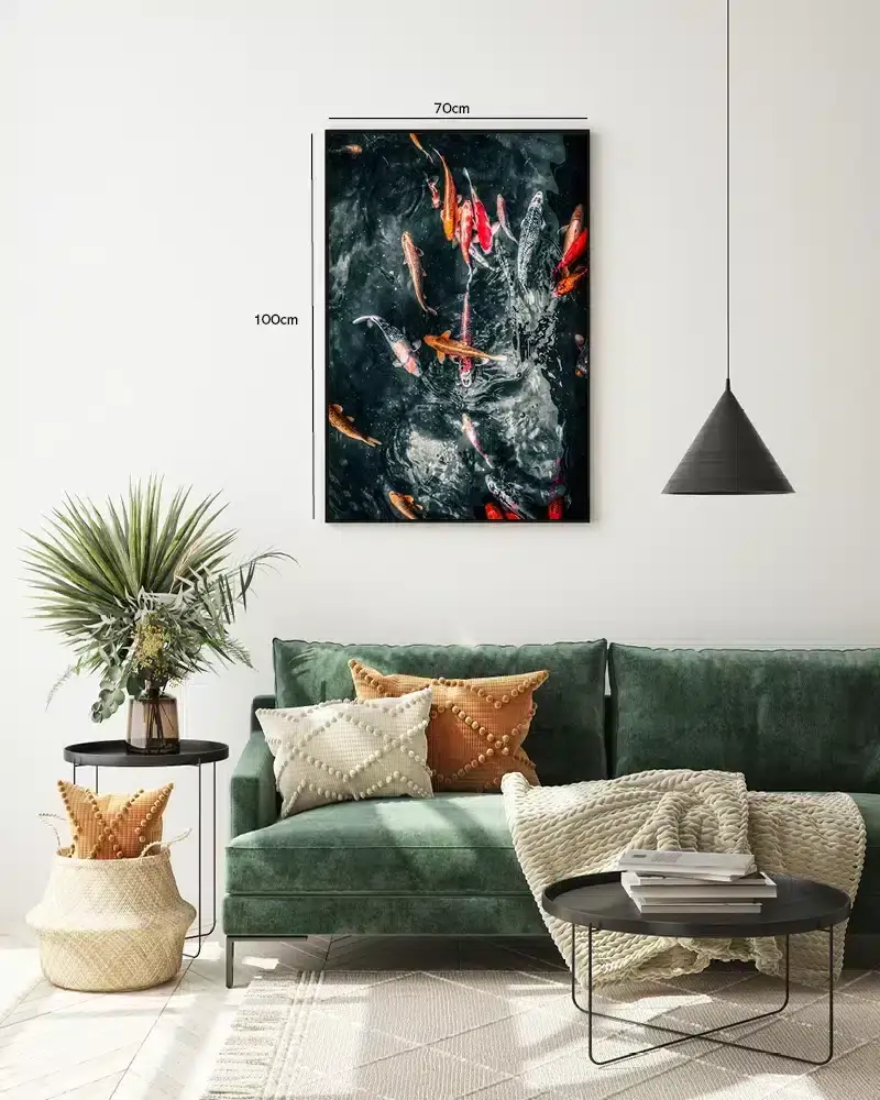 Koi Fish Plakat