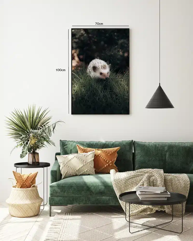 Ko Hedgehog Plakat
