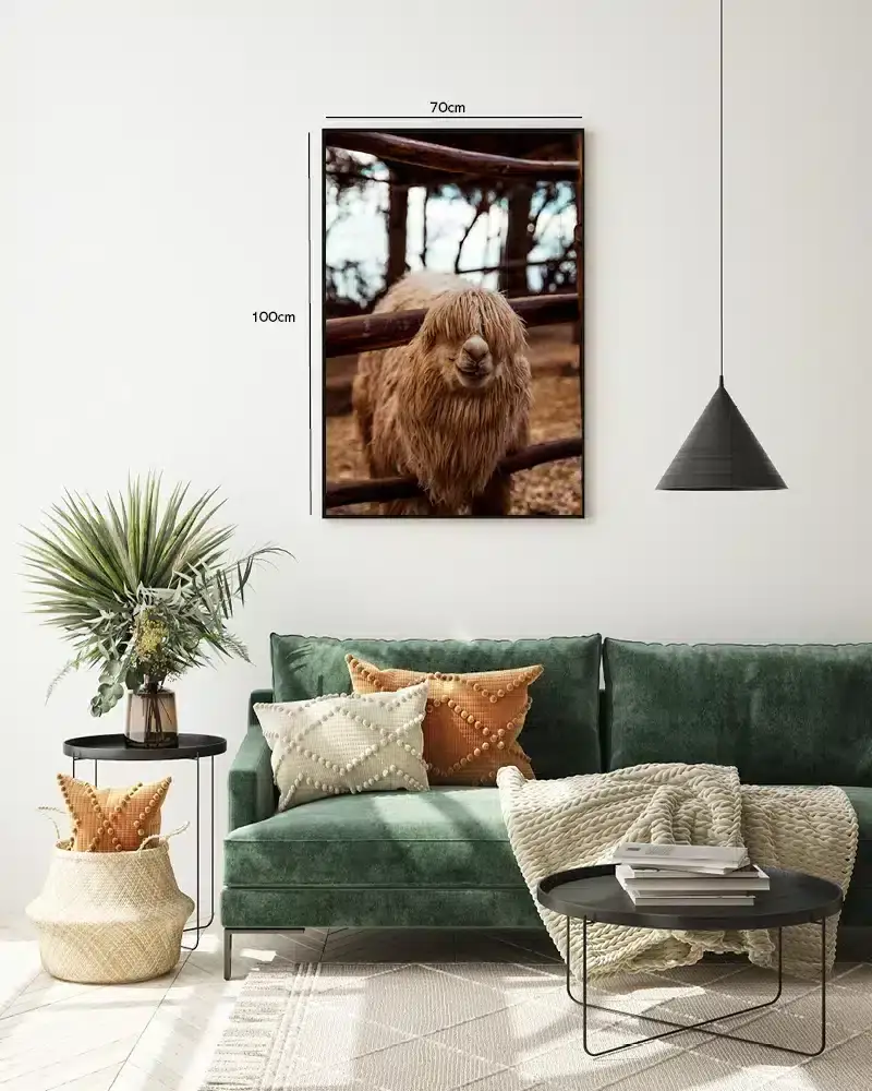 Bi Alpaca Plakat