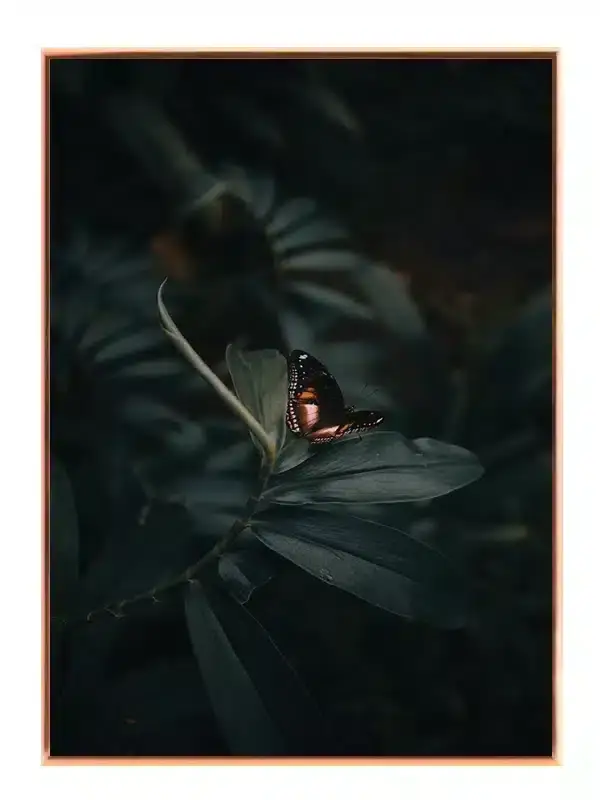 Butterfly Plakat