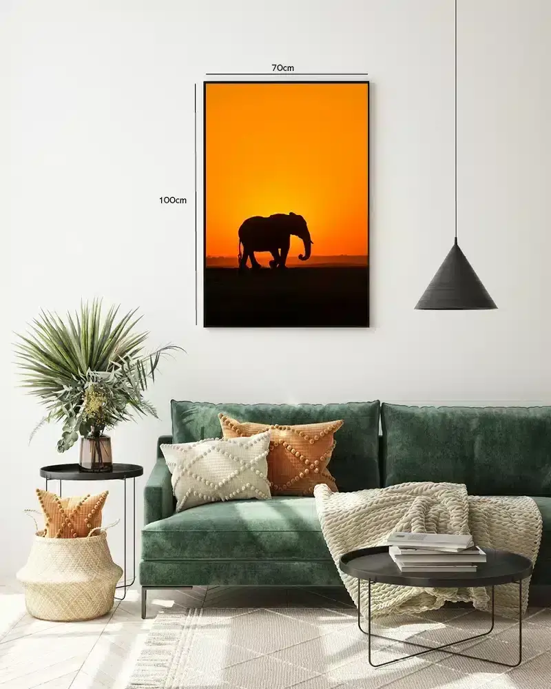 Elephant Sunset No1 Plakat