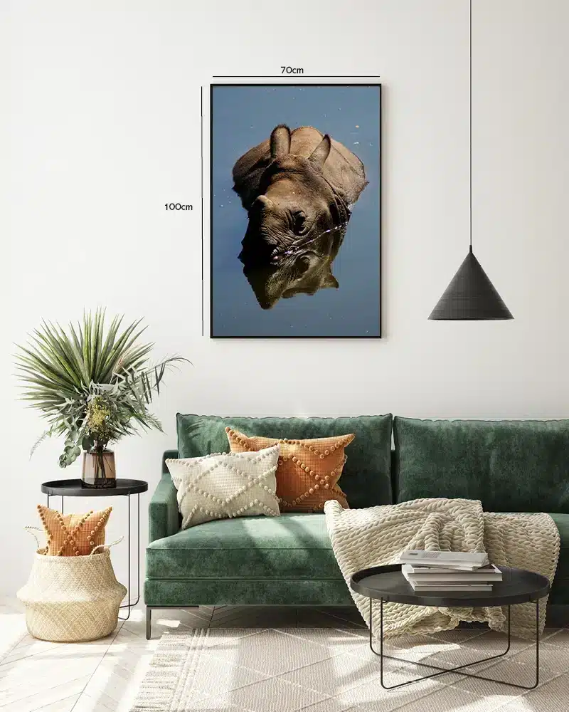 Indian Rhinoceros Plakat