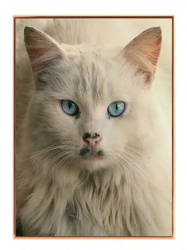 White Cat Plakat