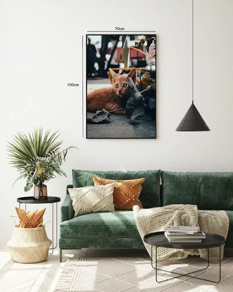 Ginger Cat Plakat
