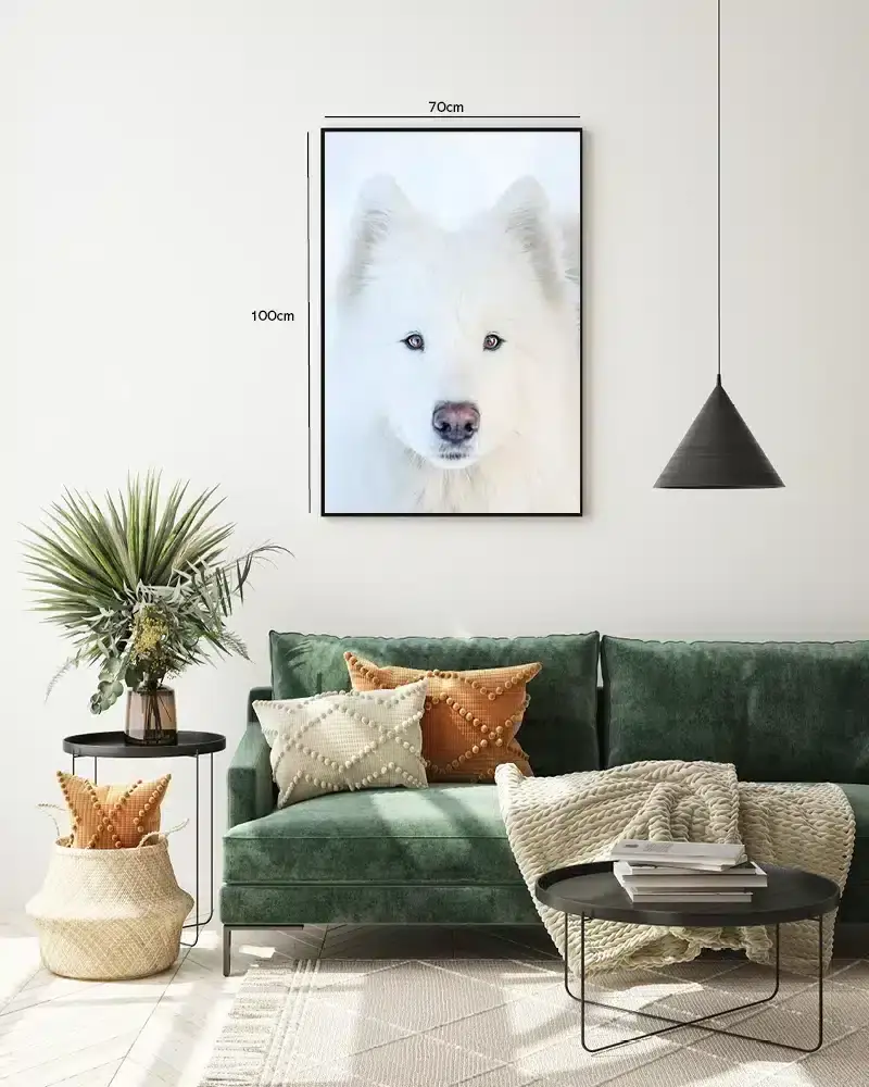 Arctic Wolf Plakat