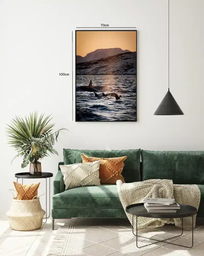 Hval Orca Family Plakat