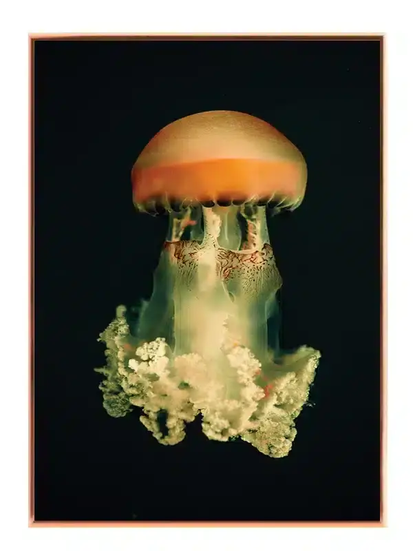 Jellyfish Glow Plakat