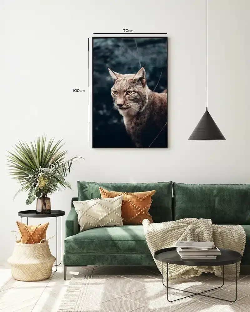 Ko Eurasian Lynx Plakat