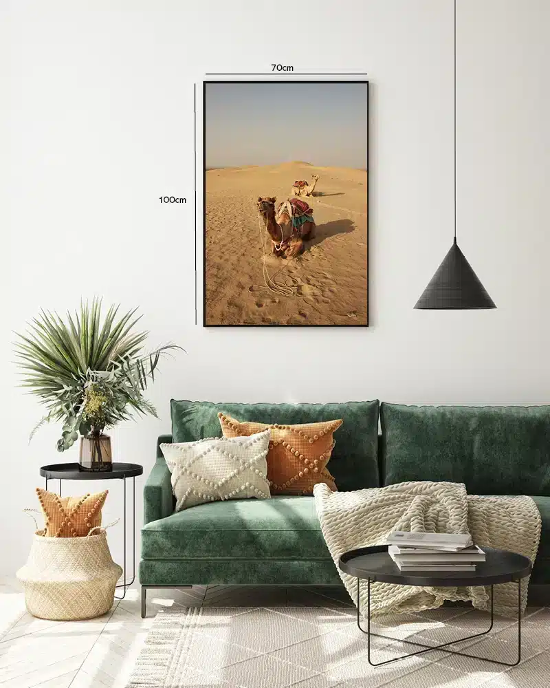 Tyr Dromedary Camel Plakat