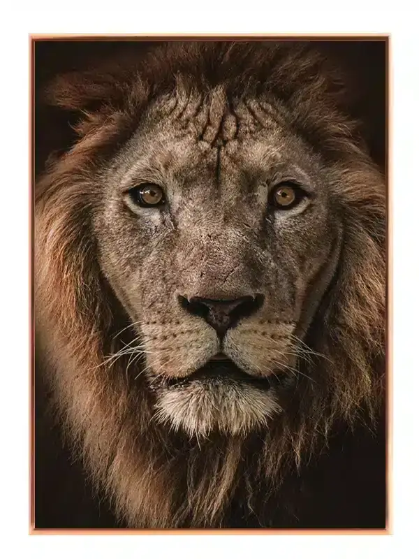Lion Portrait II Plakat