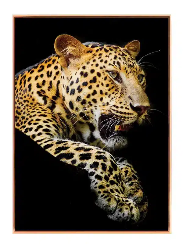 Leopard No2 Plakat