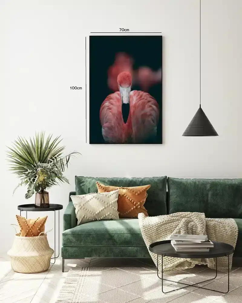 Flamingo Close Up Plakat