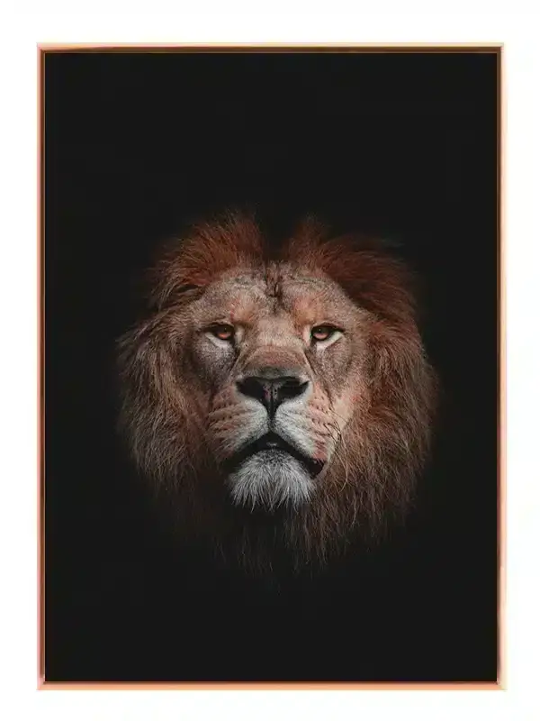 Lion Dark Background Plakat