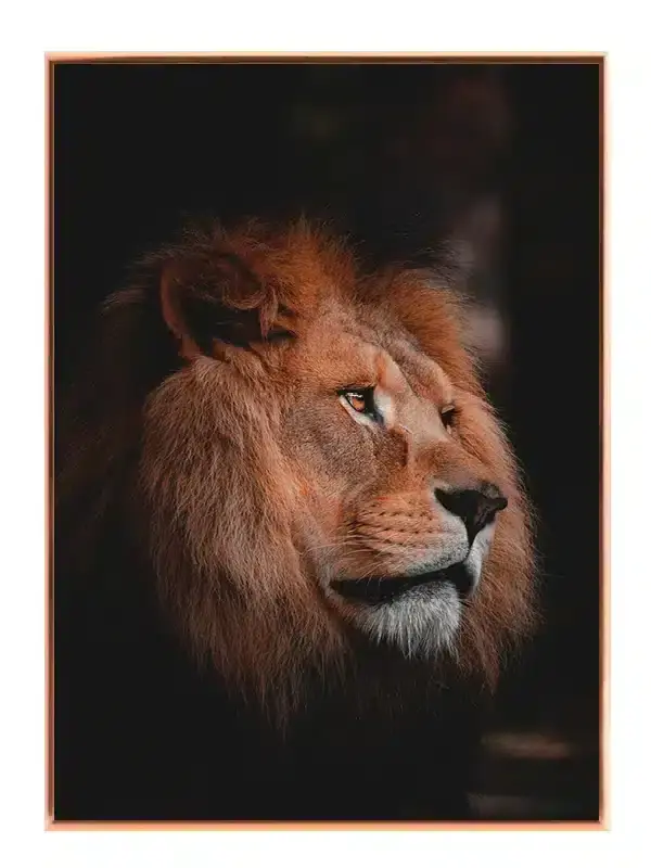 Lion Profile No3 Plakat