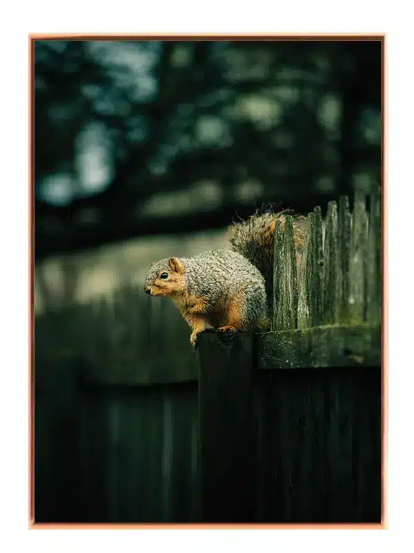 Ko Grey Plakat