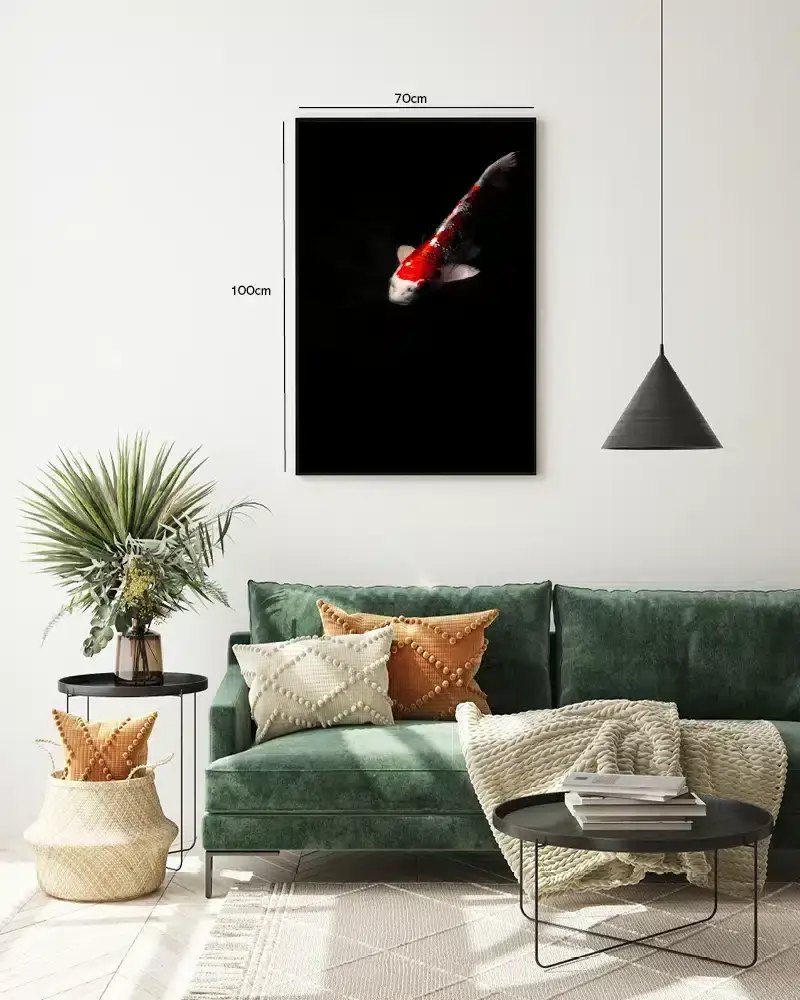 Koi Carp Plakat