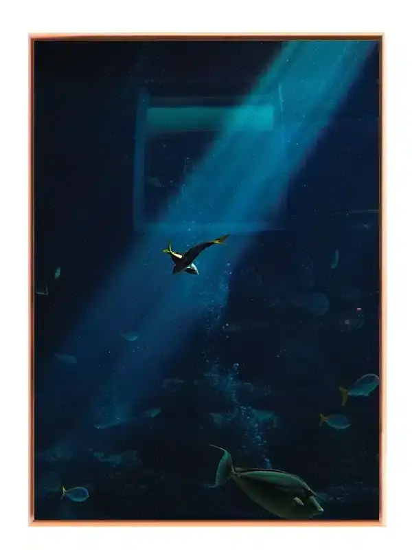 Tropical Fish Plakat