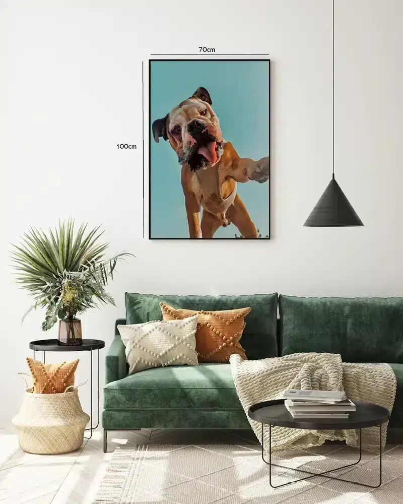 English Bulldog Plakat