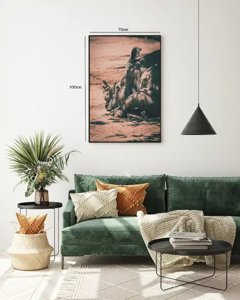 Resting Rhinoceros Plakat