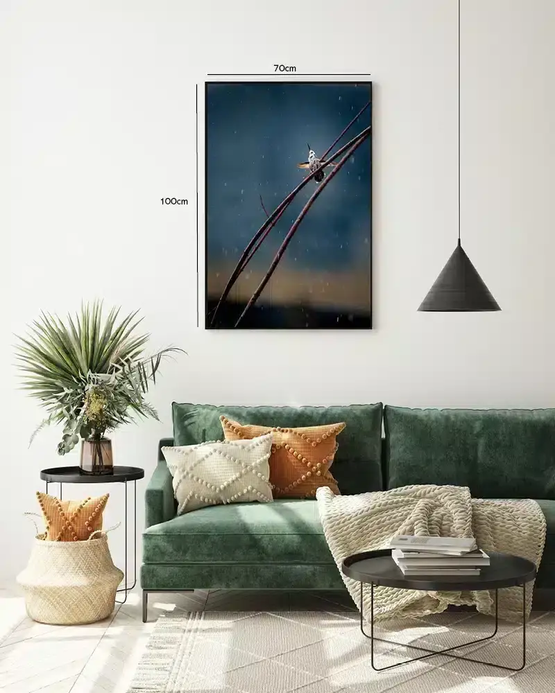 Hummingbird Plakat