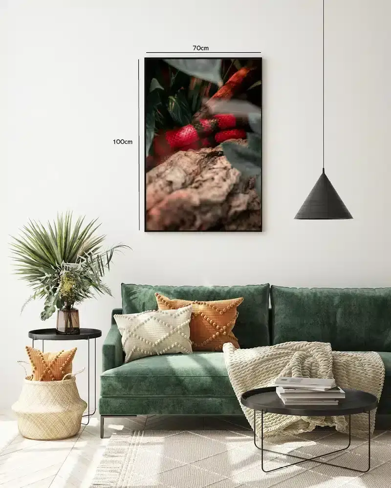 Coral Snake Plakat