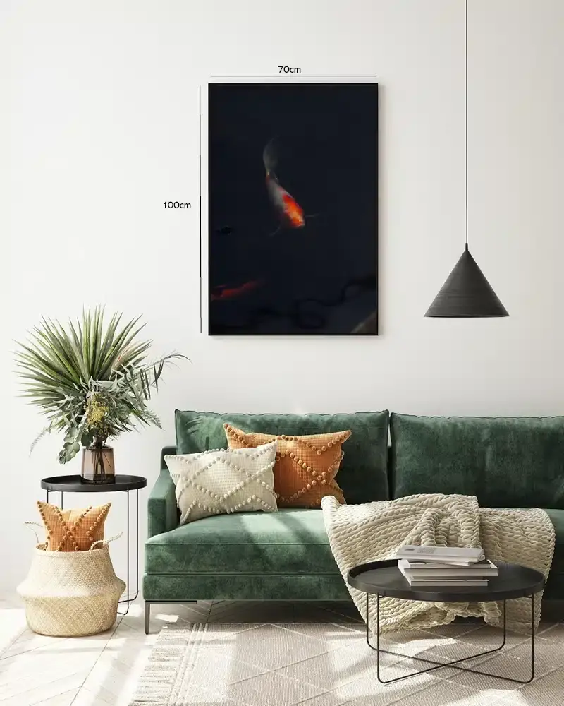 Koi Fish Dark Water Plakat