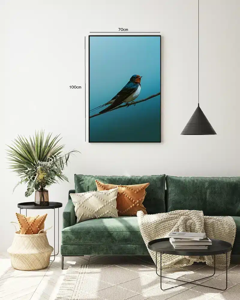 Ugle Barn Swallow Plakat