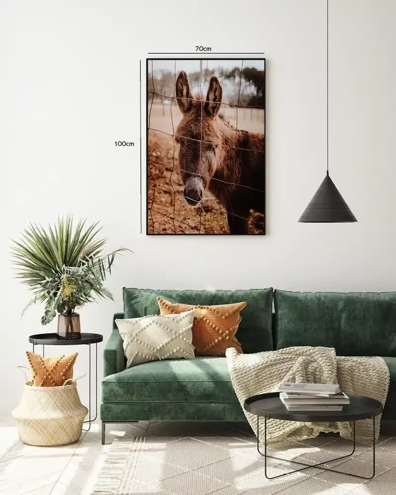 Æsel Donkey Behind Fence Plakat