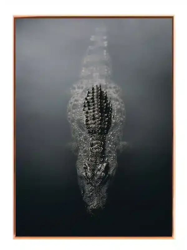 Crocodile No2 Plakat