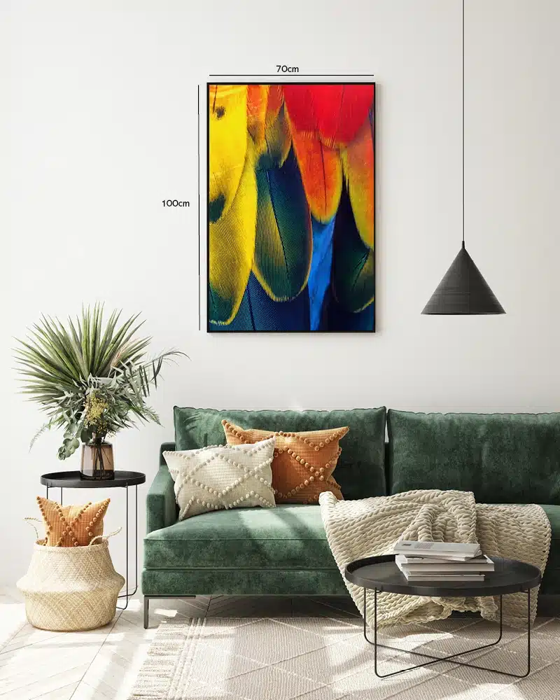 Fugl Macaw Feathers Plakat
