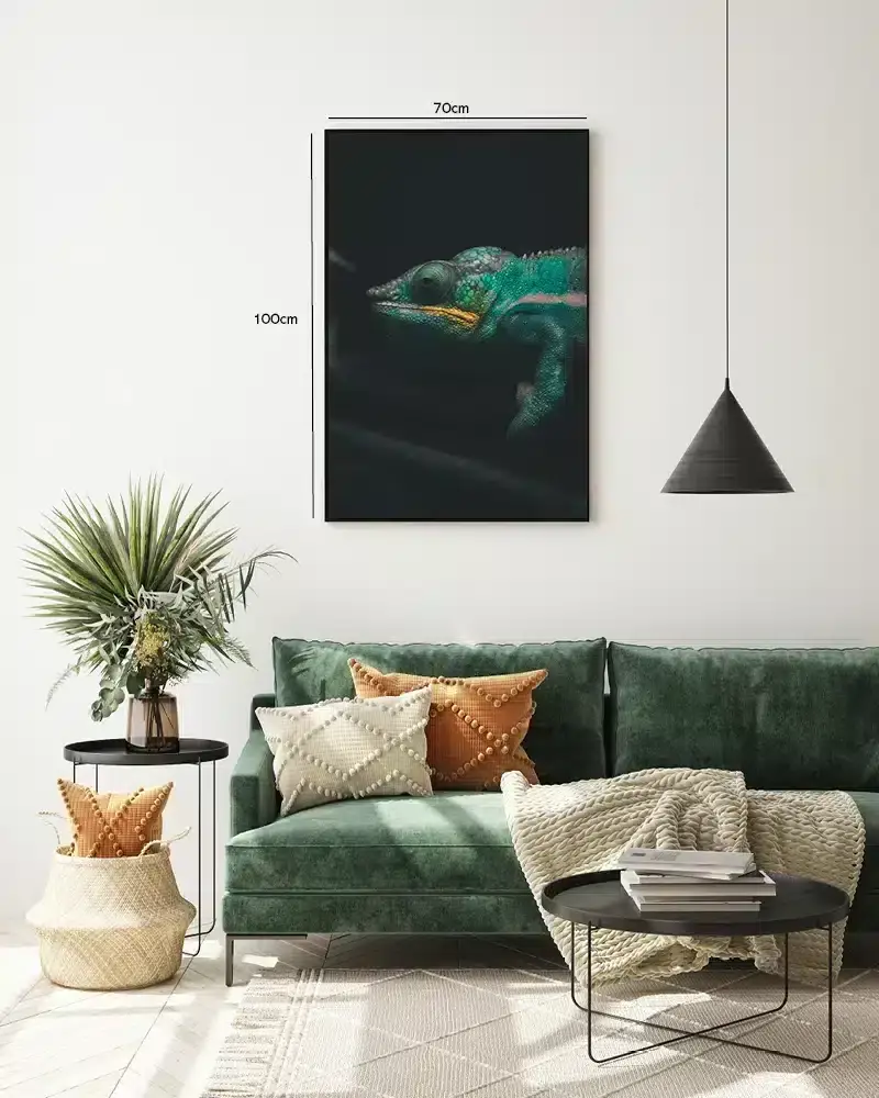 Kat Veiled Chameleon Plakat
