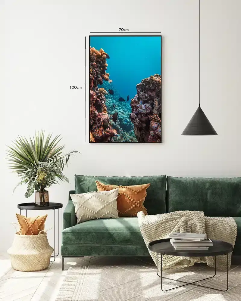 Coral Reef Fish Plakat