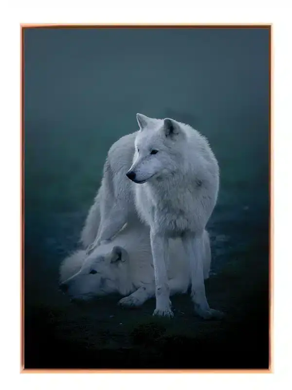 Arctic Wolf Duo Plakat