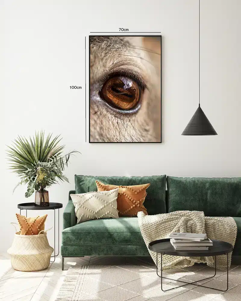 Bi Camel Plakat
